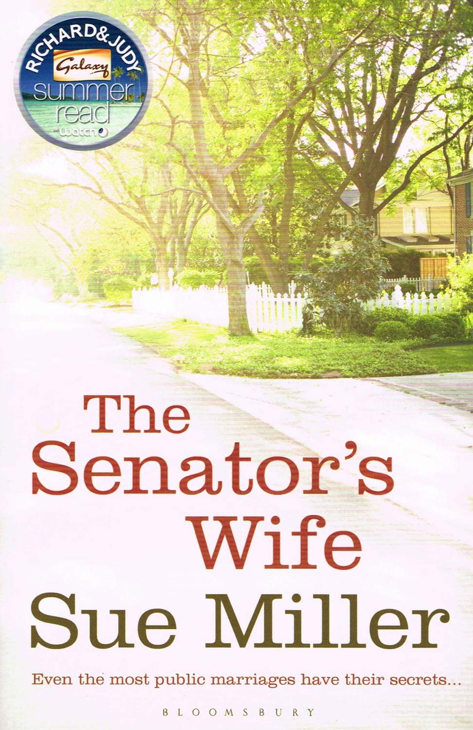 The Senator's Wife 9781408804315