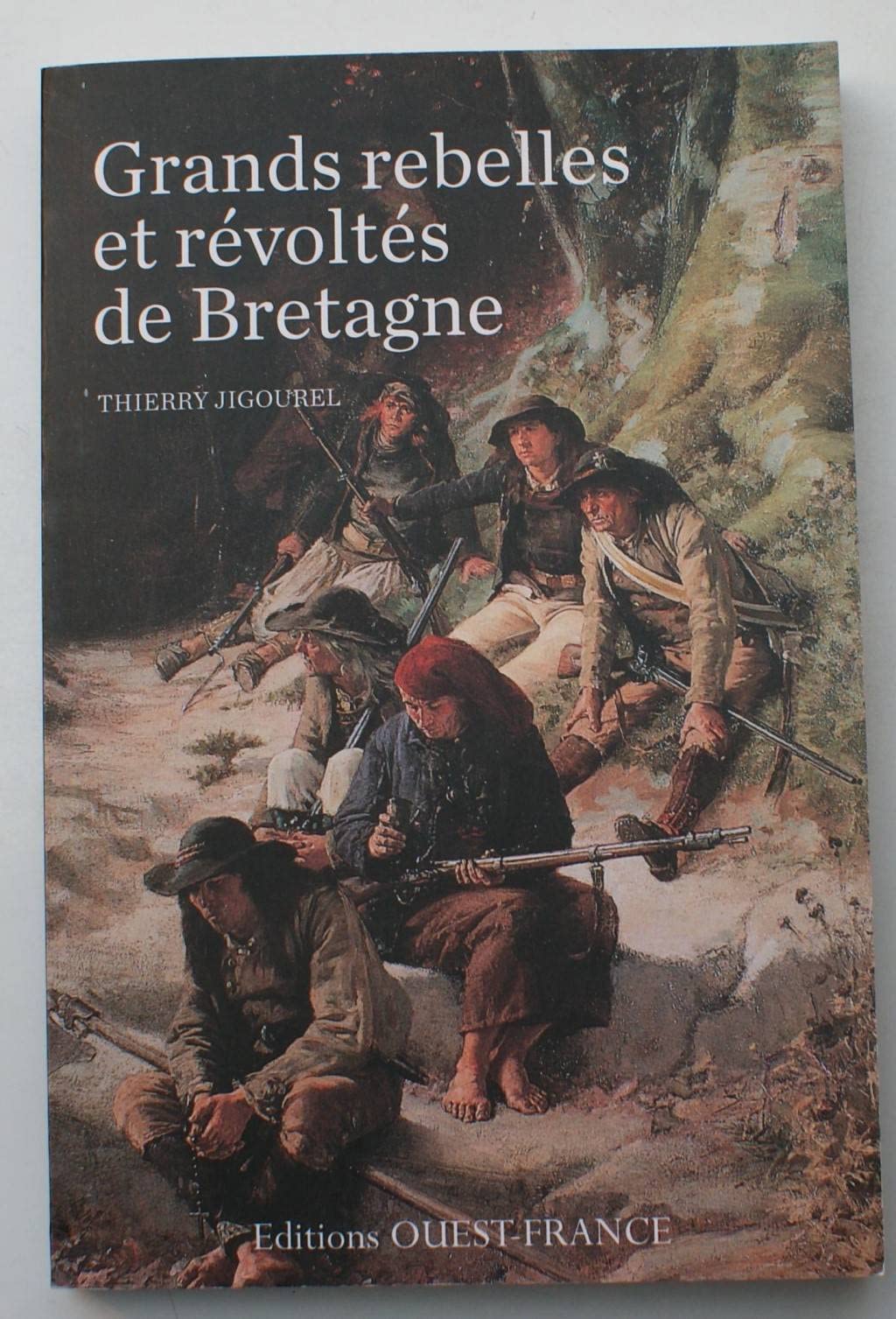 Grands rebelles et révoltés de Bretagne 9782737360046