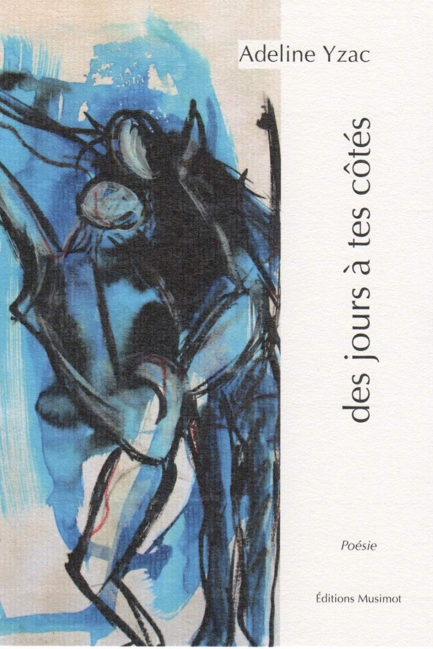 Des jours à tes côtés 9791090536272