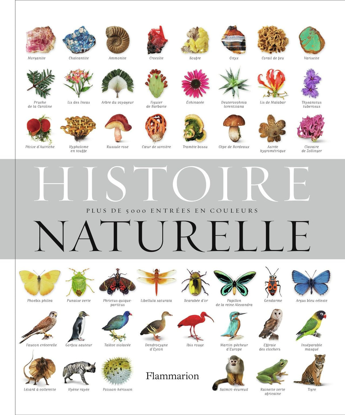 Histoire naturelle: Plus de 5 000 entrées en couleurs 9782081378599