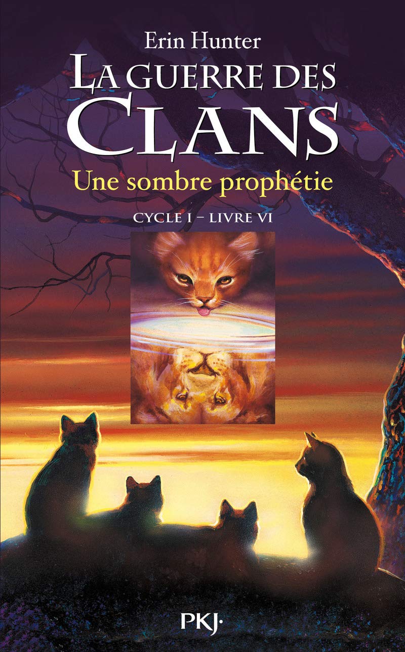 La guerre des Clans, cycle I - tome 06 : Une sombre prophétie (06) 9782266176989