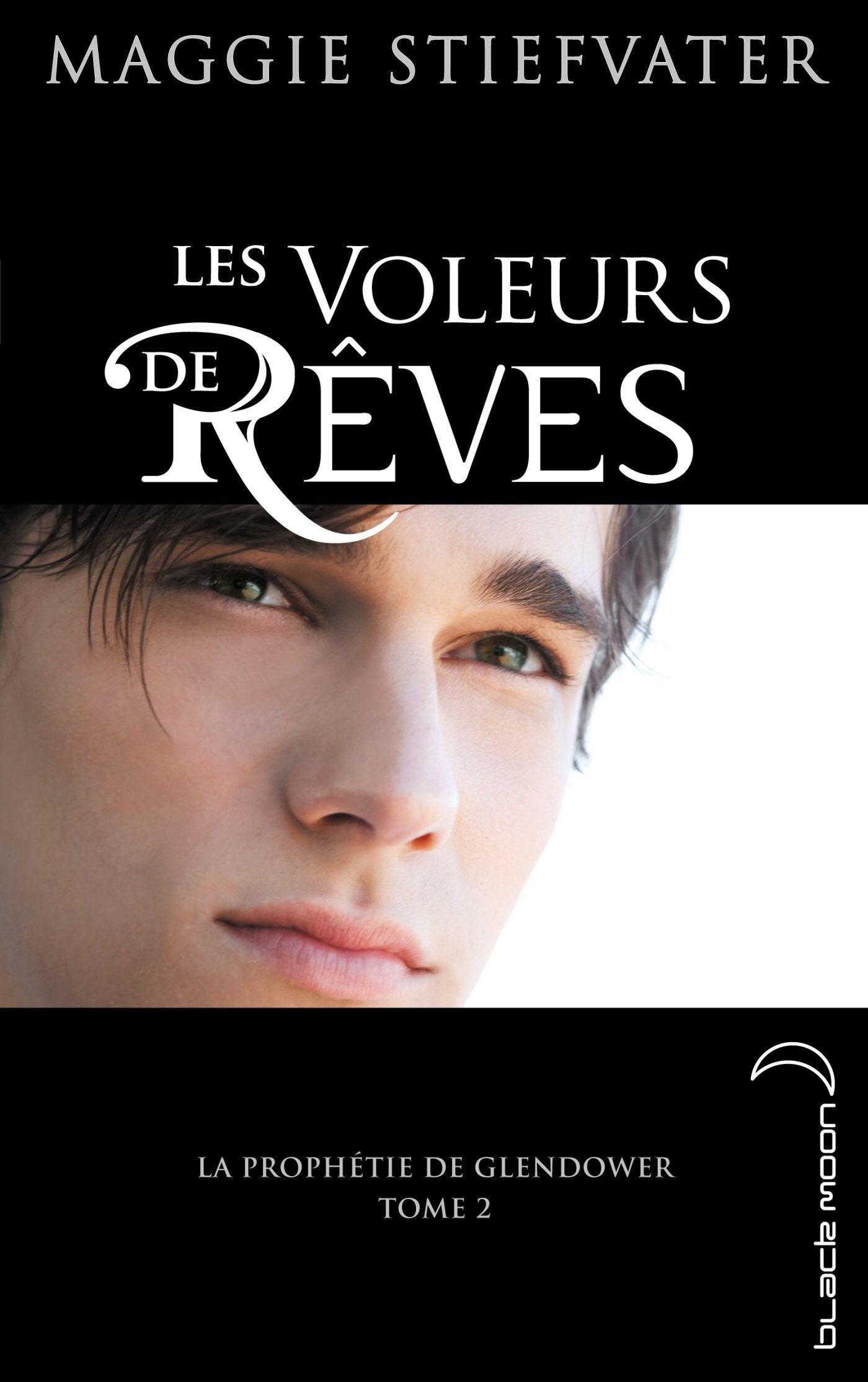 La prophétie de Glendower: Tome 2, Les voleurs de rêves 9782012034099
