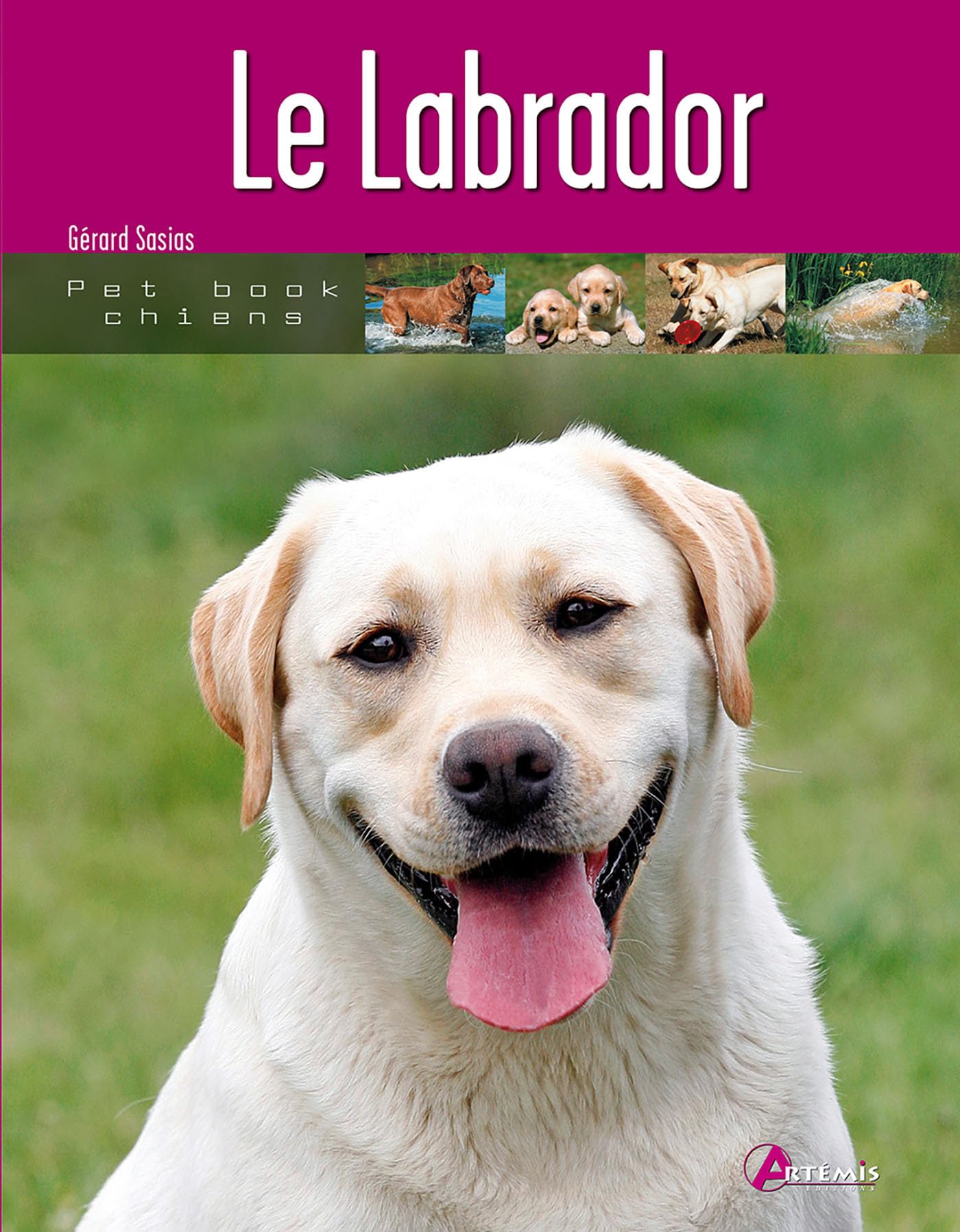 Le labrador 9782844166302