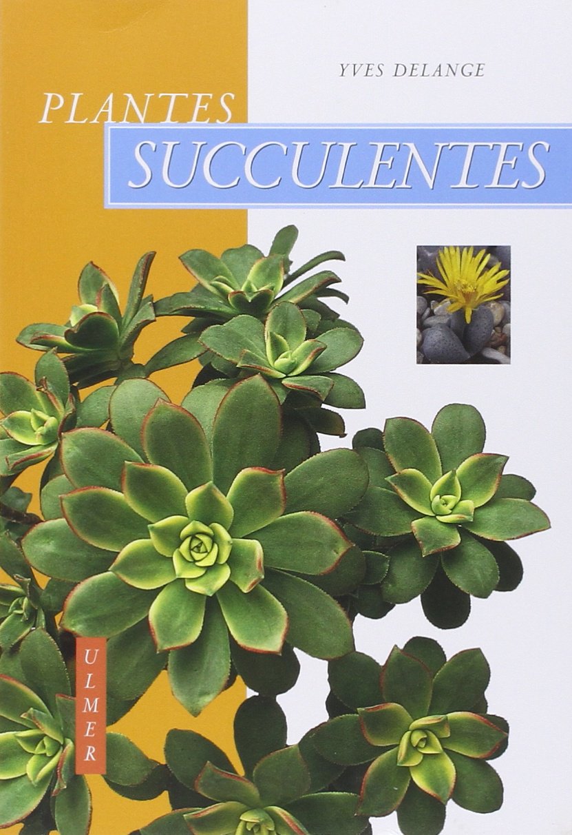 Plantes succulentes 9782841382156