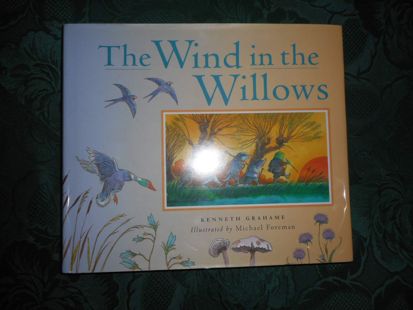 WIND IN THE WILLOWS 9781862054868
