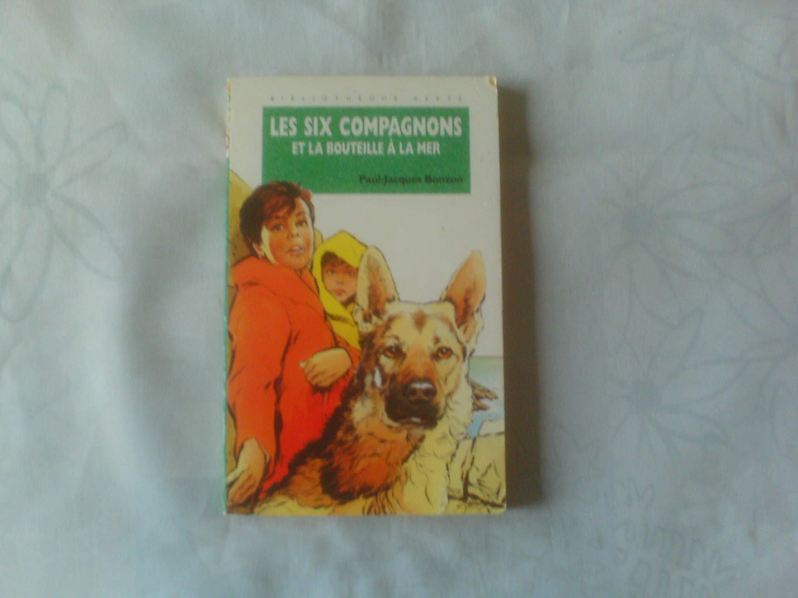 Les Six Compagnons et la bouteille à la mer 9782010169977