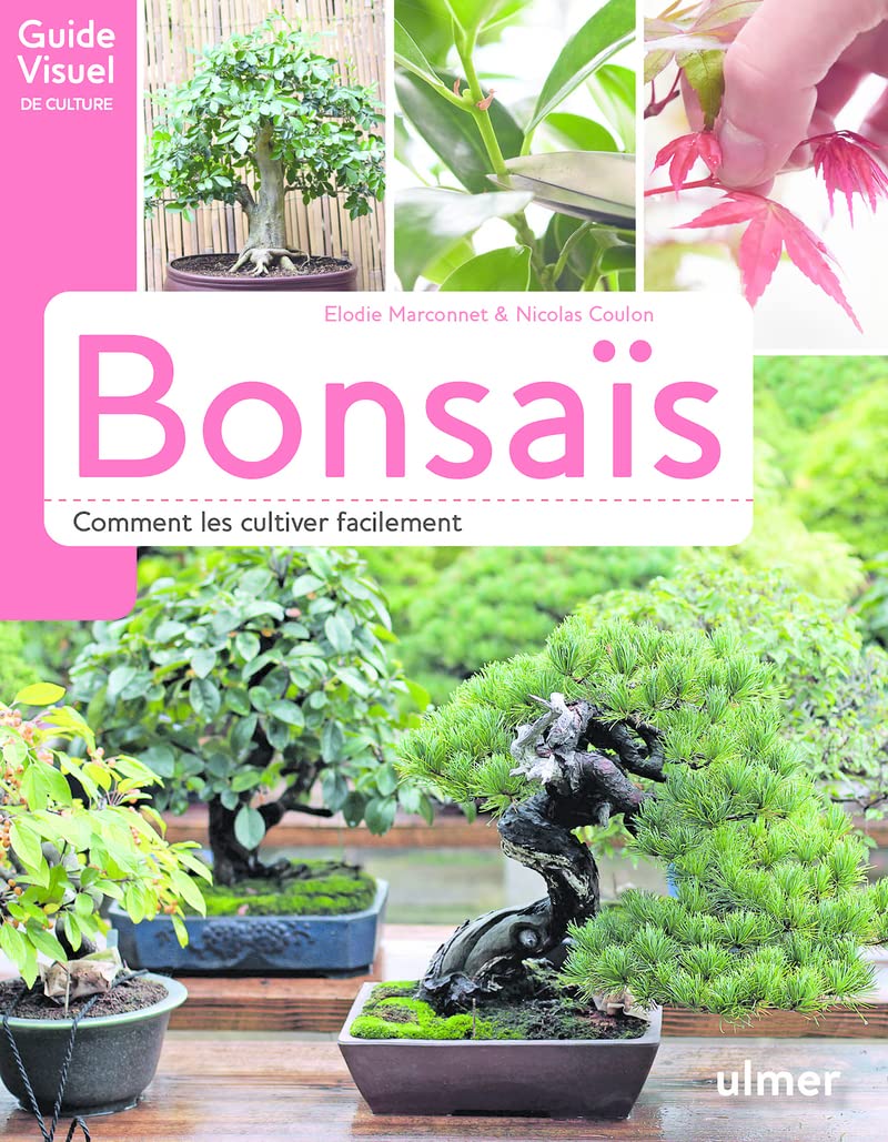 Bonsaïs - Comment les cultiver facilement 9782841389469