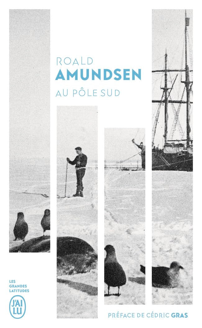 Au pôle Sud 9782290432587