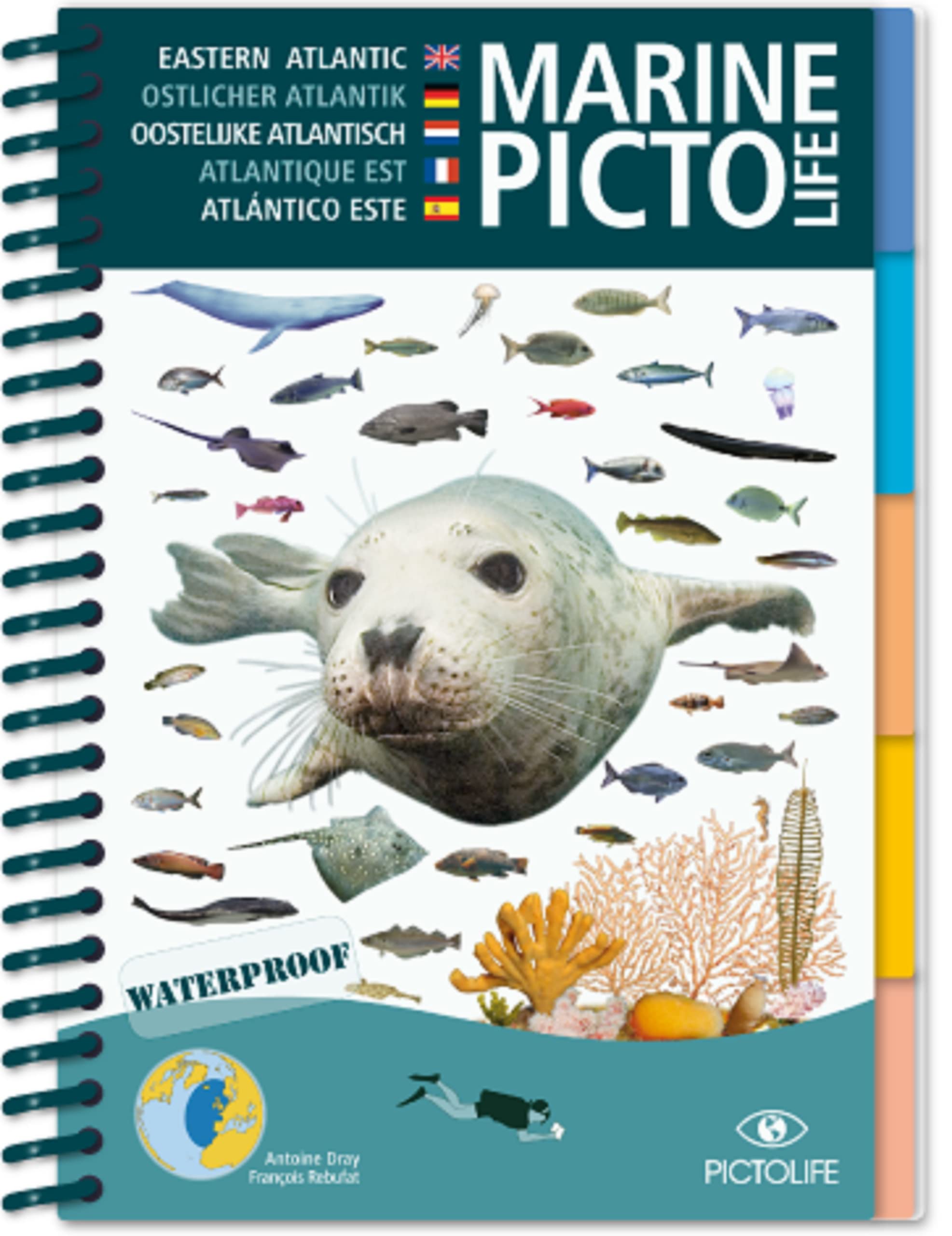 Eastern temperate atlantic: Atlantique Tempéré Est 9782952780926