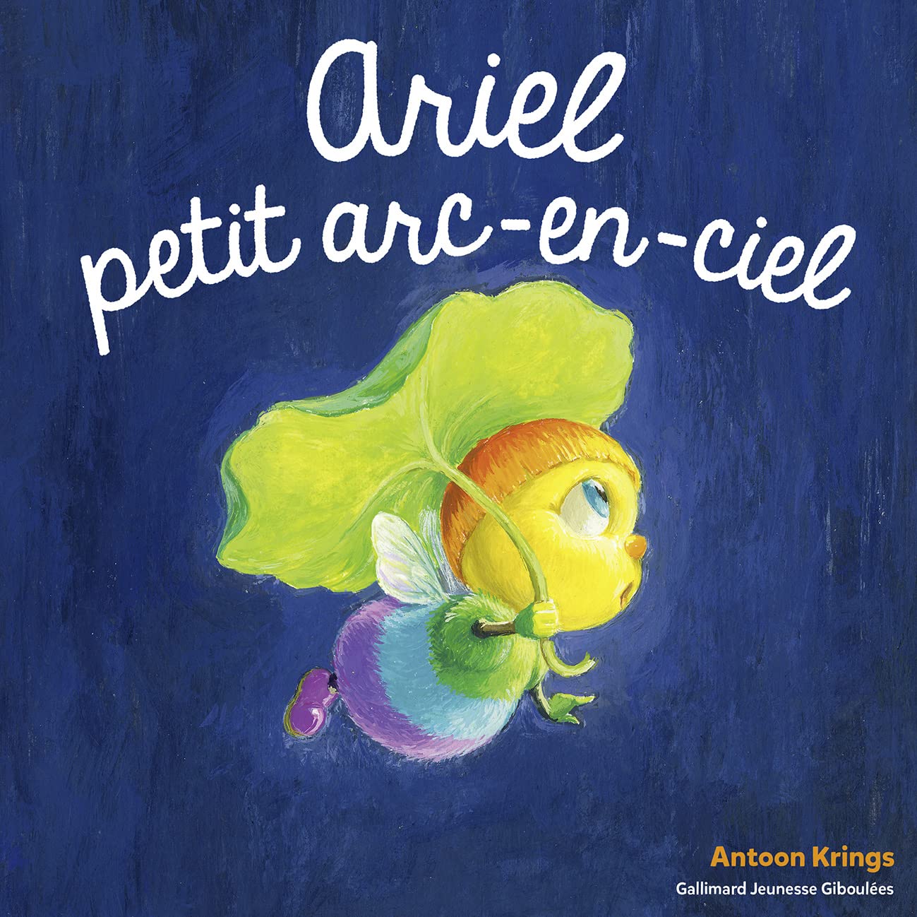 Les Drôles de Petites Bêtes - ARIEL, PETIT ARC-EN CIEL 9782075153584