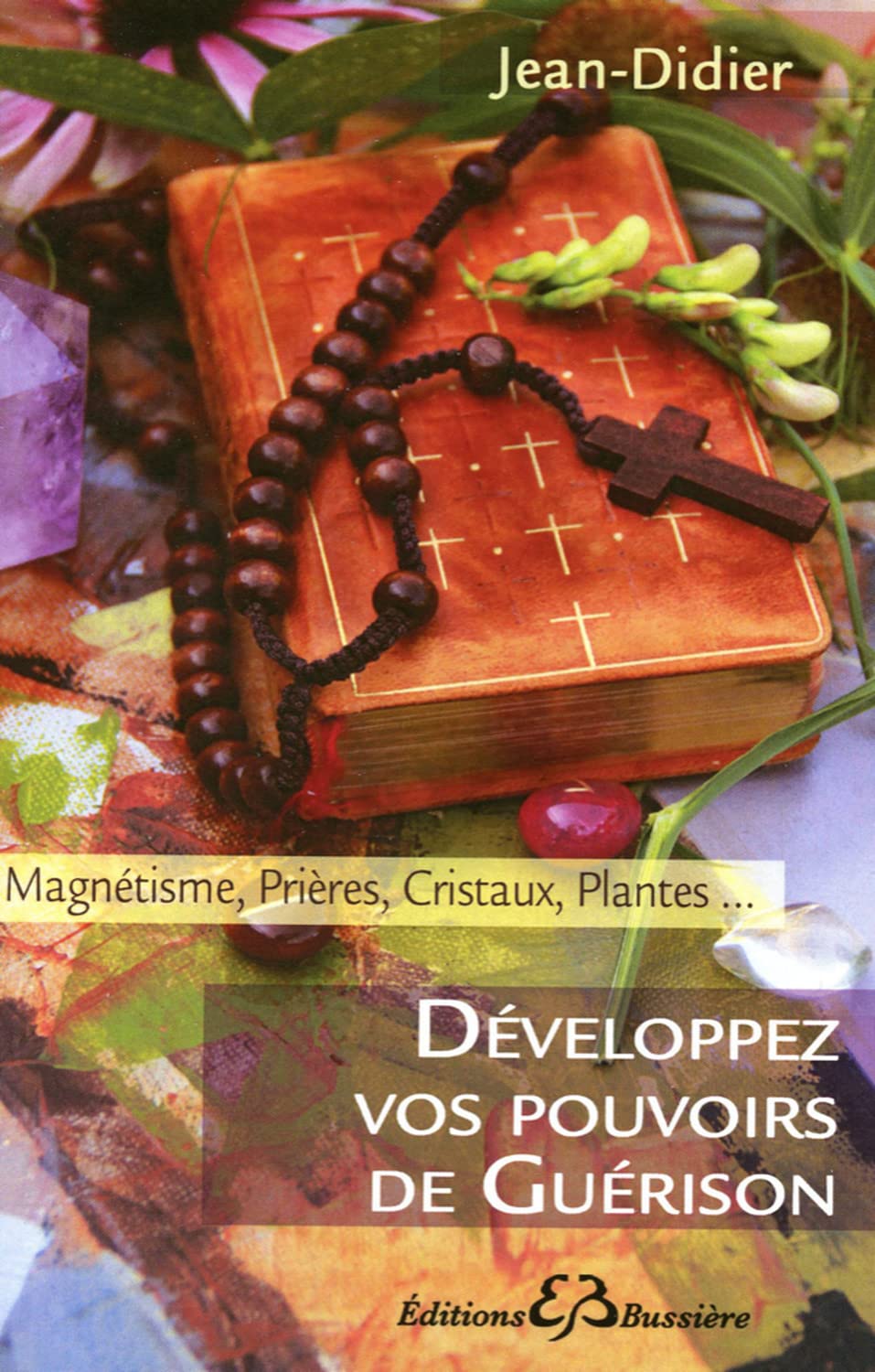 Développez vos pouvoirs de guérison 9782850904196