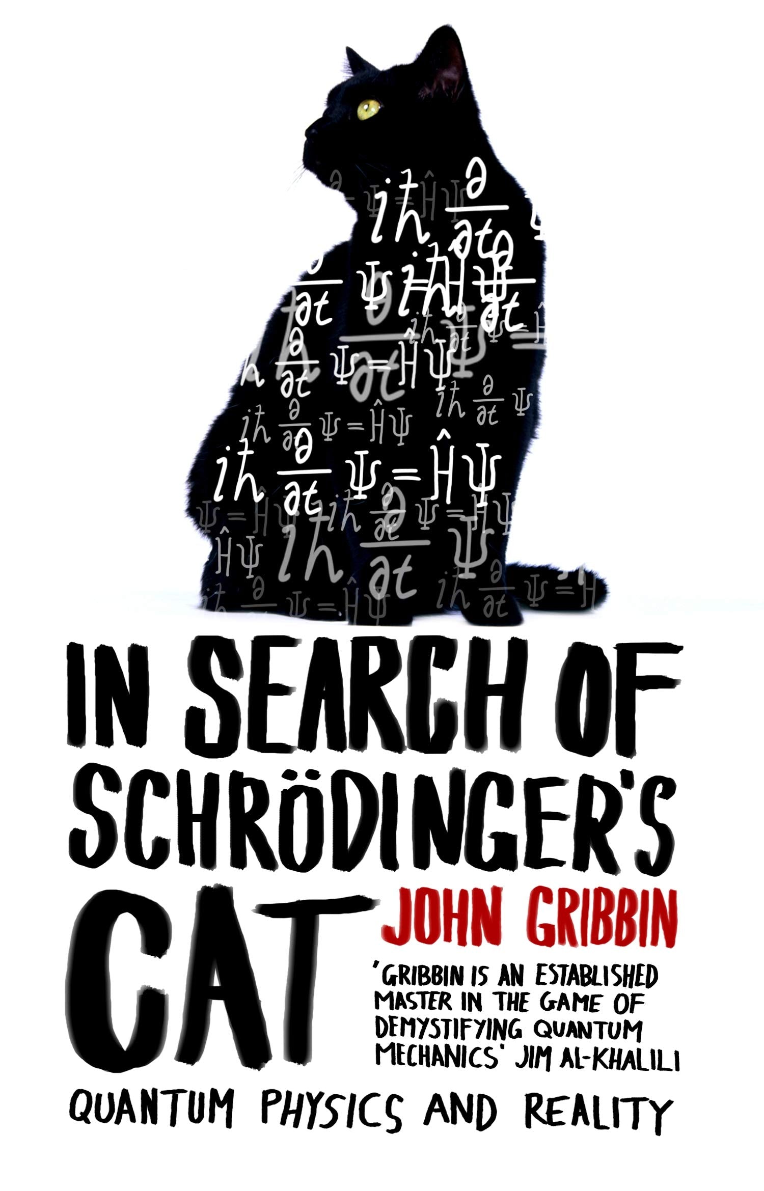 In Search Of Schrodinger's Cat: The bestselling classic introduction to quantum physics 9780552125550