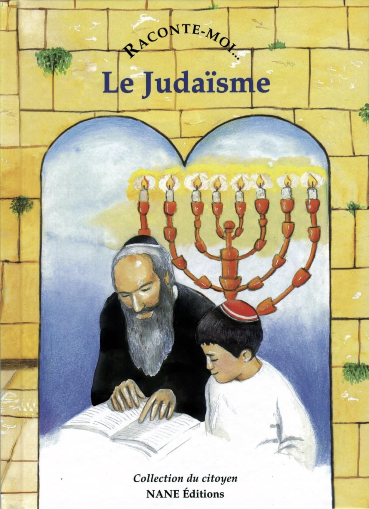 Le judaïsme 9782843680540