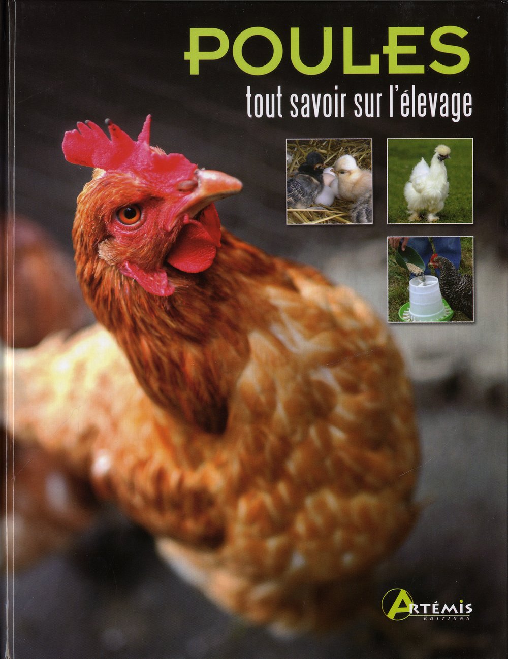 Poules: Tout savoir sur l'élevage 9782816002379