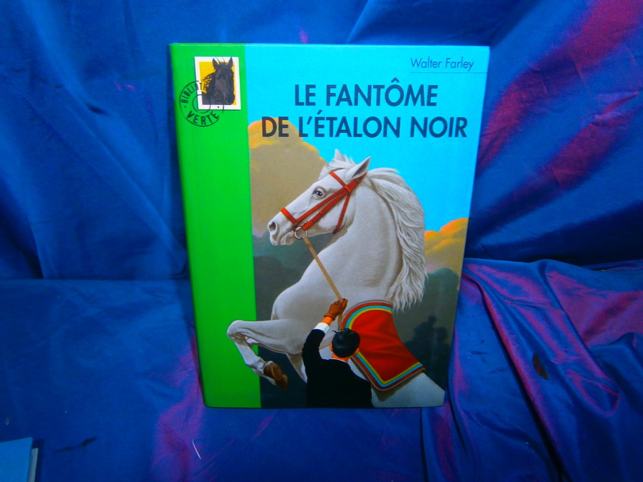 Le fantôme de l'Etalon noir 9782012005549