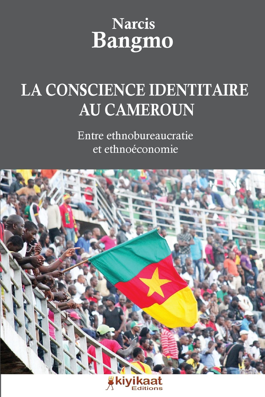 La conscience identitaire au Cameroun: Entre ethnobureaucratie et ethnoéconomie 9782923821672