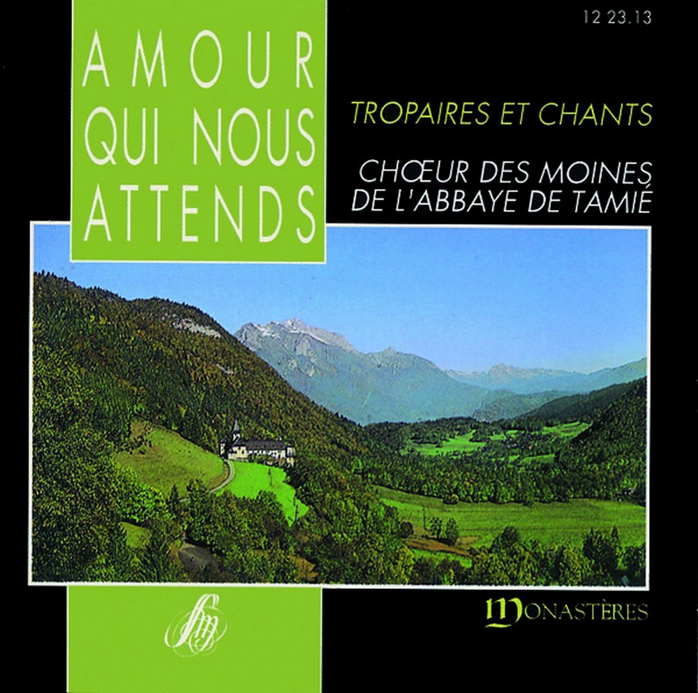 Amour Qui Nous Attends 3133580123139