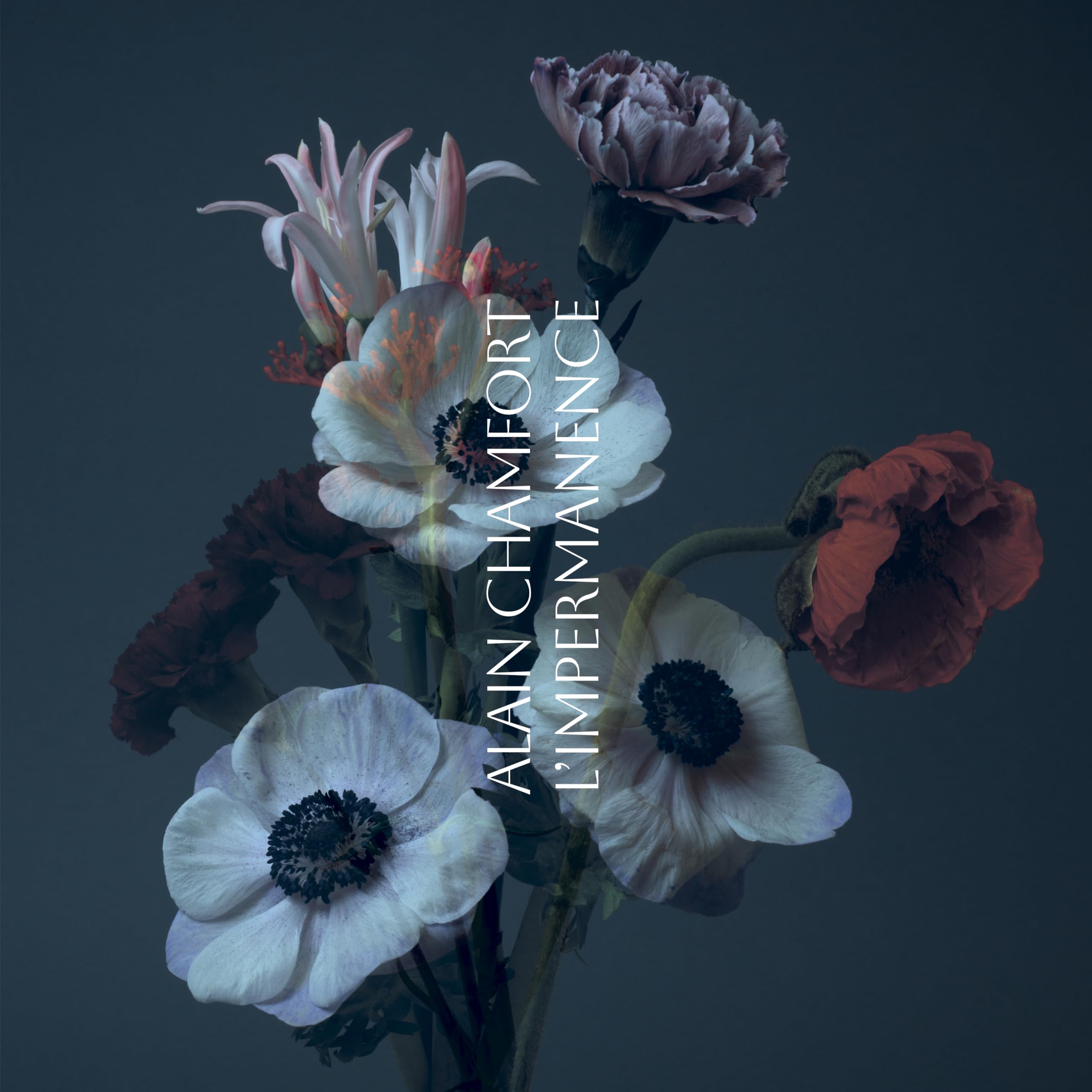 L’Impermanence 4099964034868