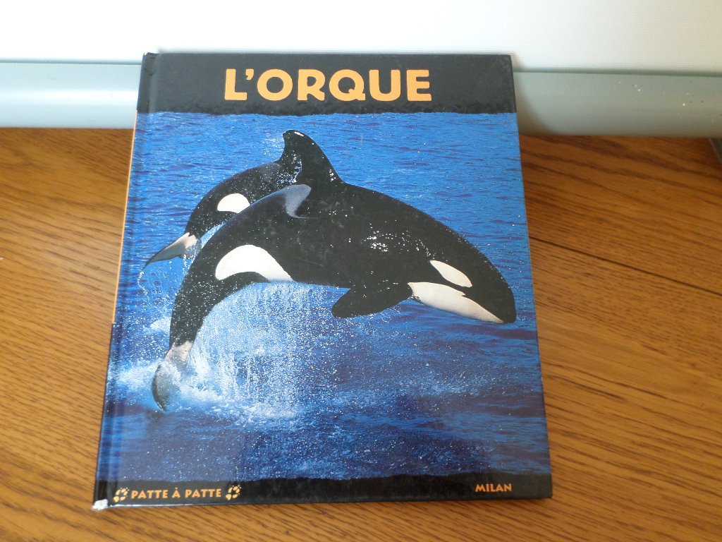 L'Orque 9782745906533
