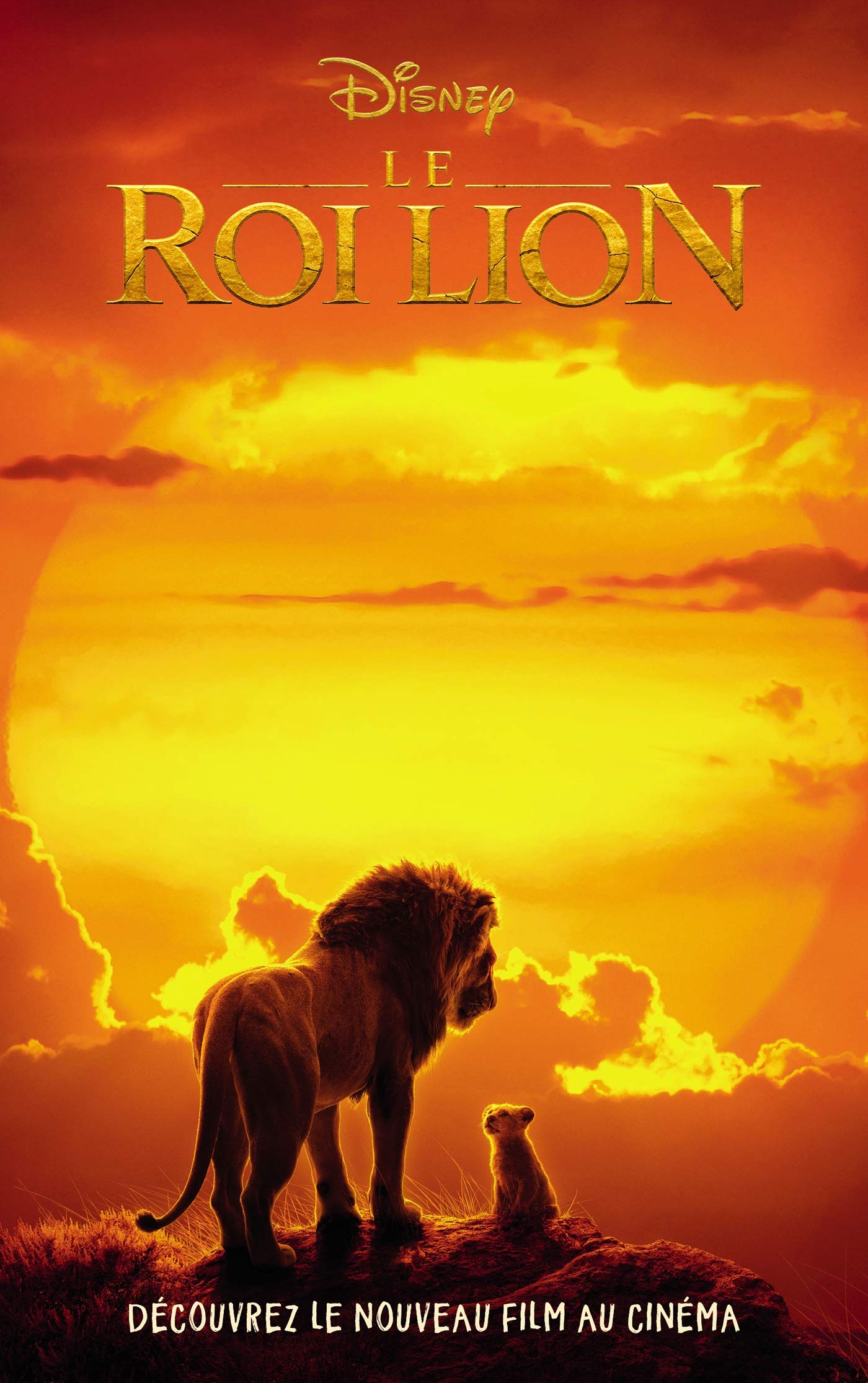 Le Roi Lion - le roman du film 9782017099734
