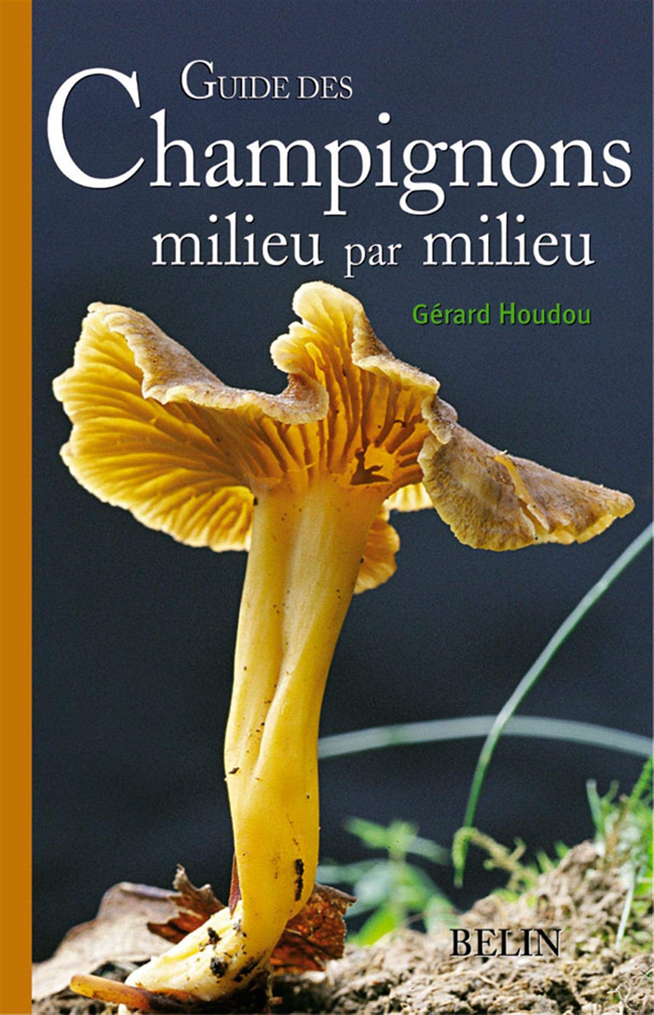 Guide des champignons milieu par milieu 9782701131559