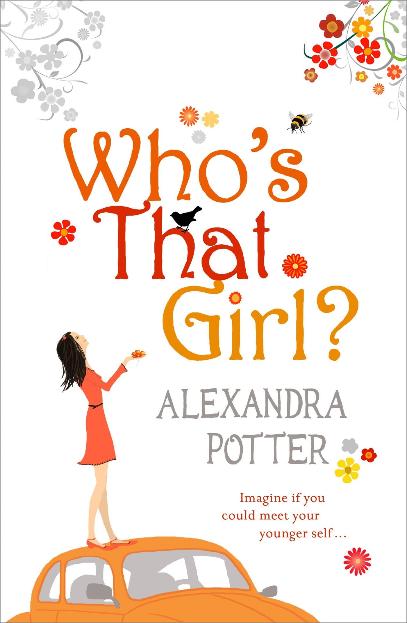 Who's That Girl?: A funny and enchanting romcom from the author of CONFESSIONS OF A FORTY-SOMETHING F##K UP! 9780340954119