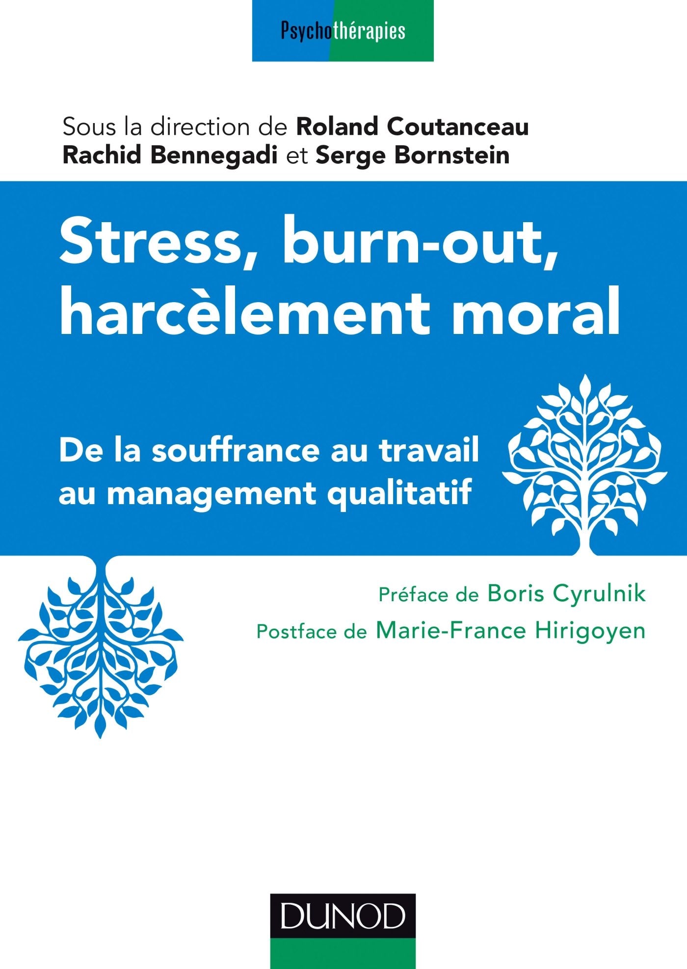 Stress, burn-out, harcèlement moral - De la souffrance au travail au management qualitatif: De la souffrance au travail au management qualitatif 9782100743353