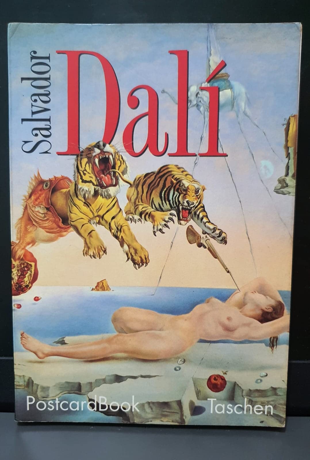 Salvador Dali. Livrets de 30 cartes postales 9783822893395