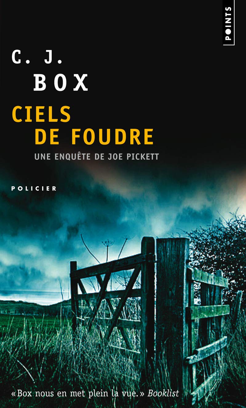 Ciels de foudre 9782757817551
