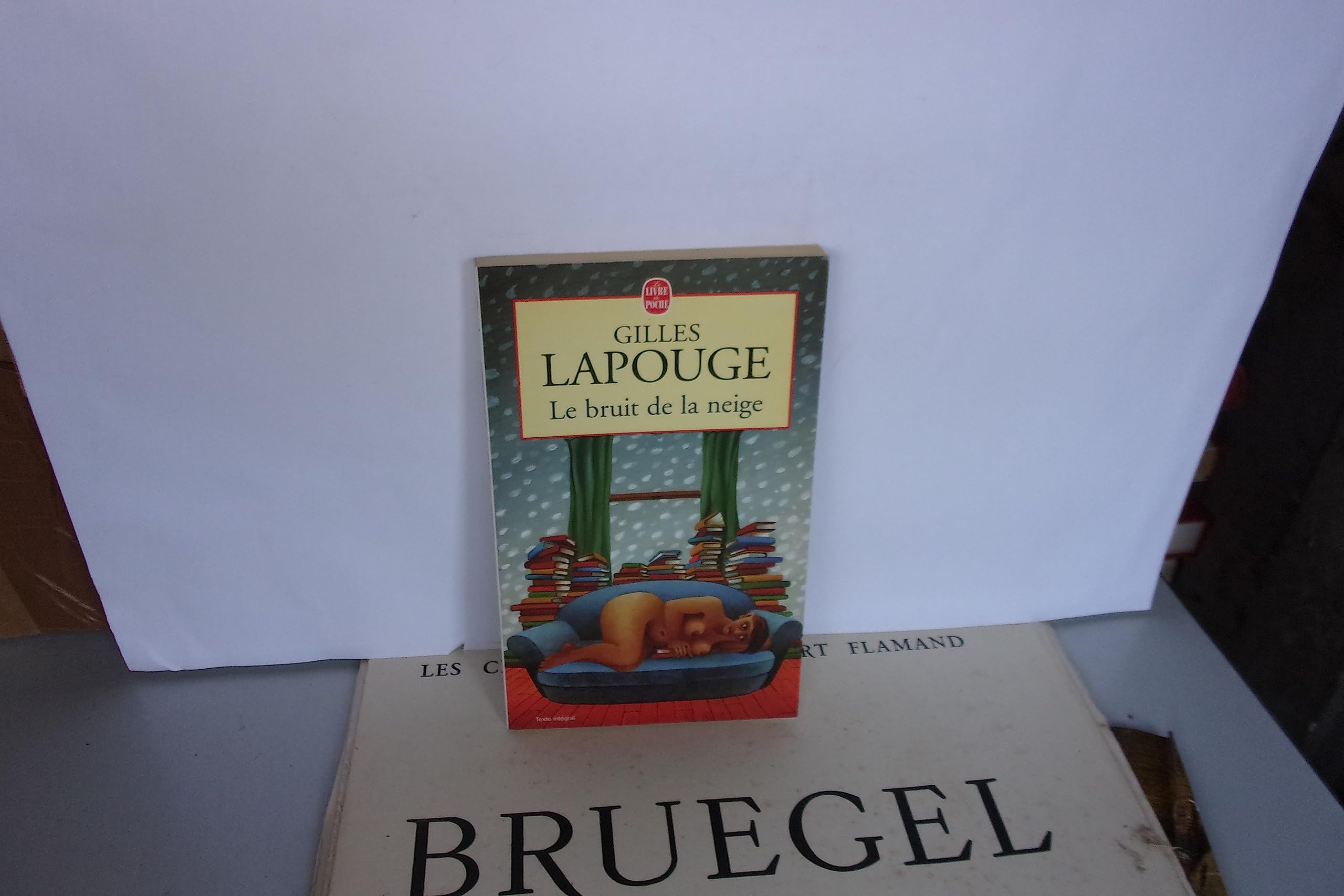 Le bruit de la neige 9782253145974