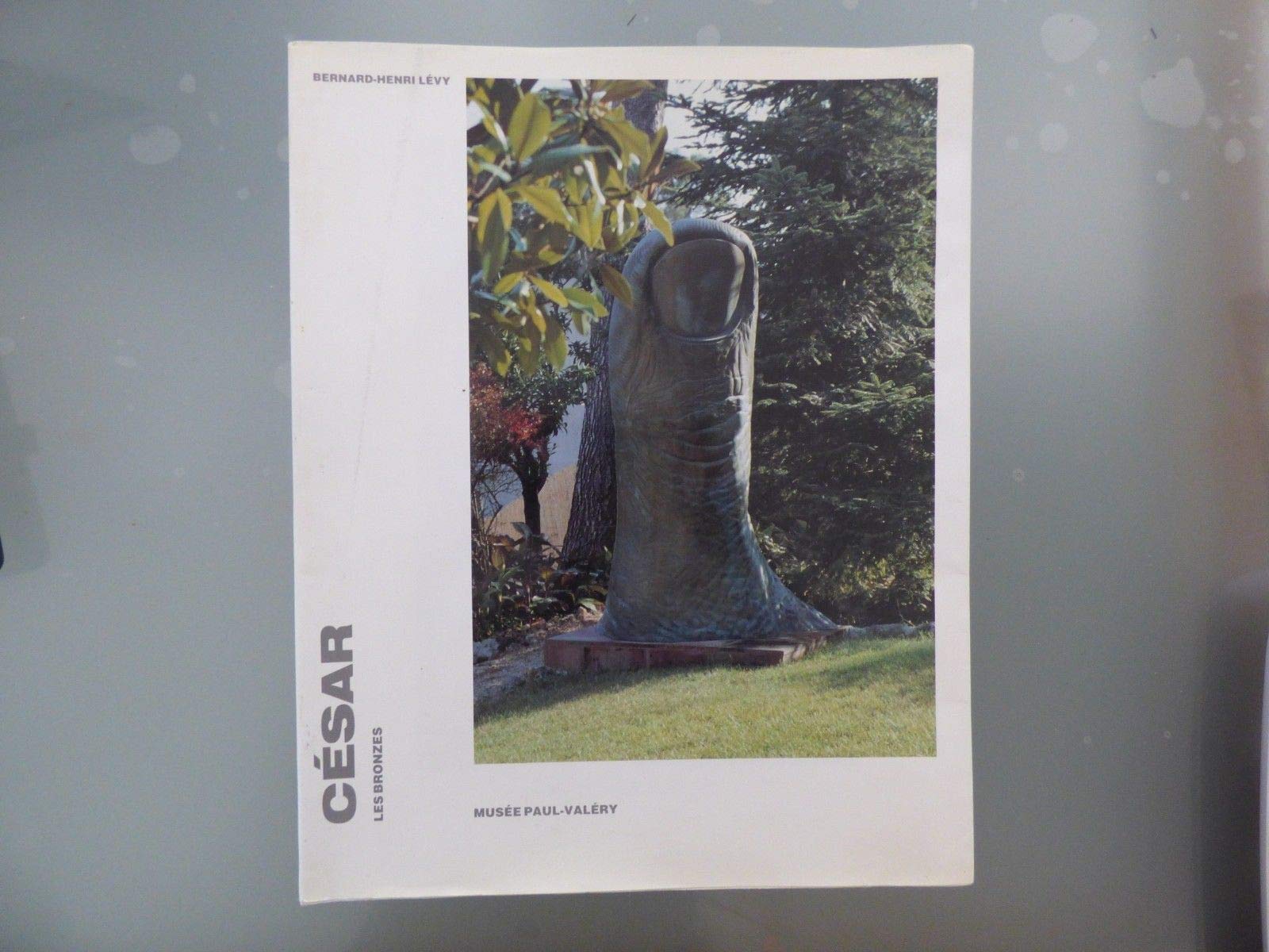 César : les bronzes 9782729107031