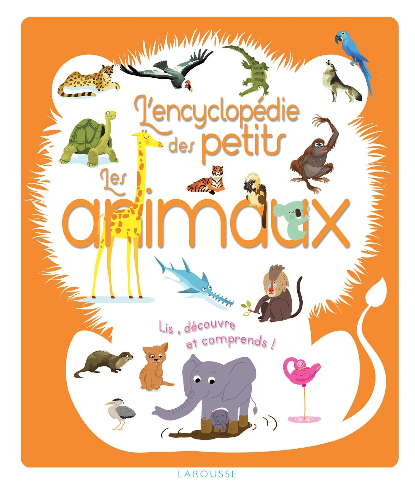 L'encyclopédie des petits les animaux 9782035946539
