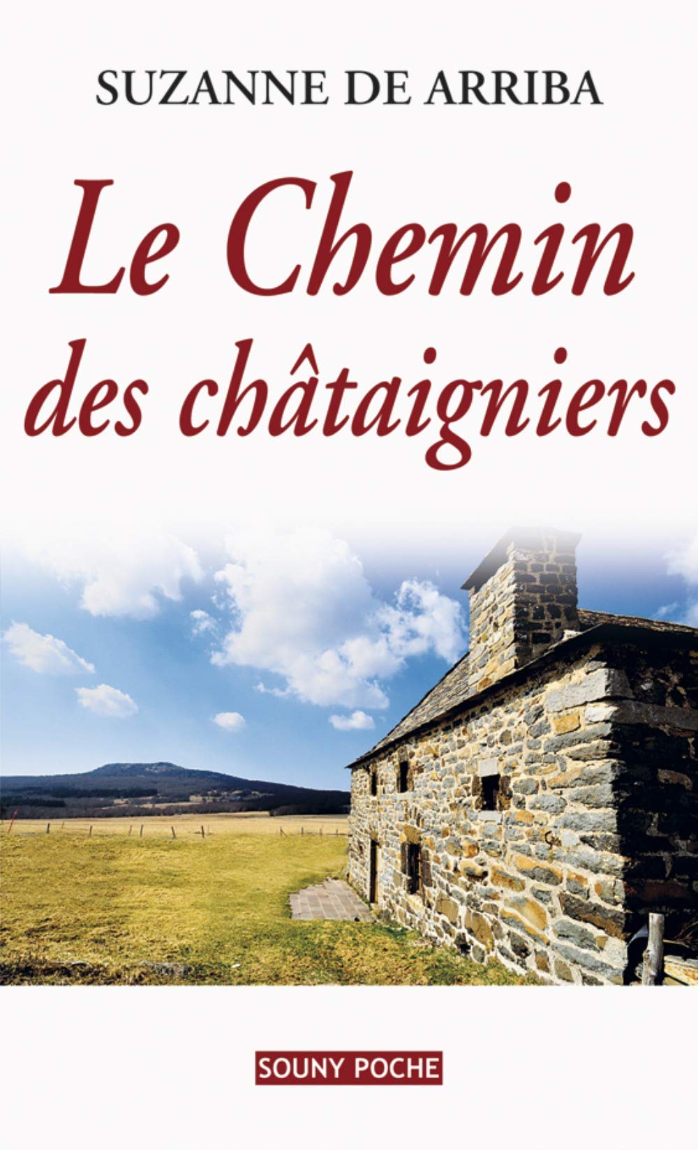 Chemin des chataîgniers 9782848864518