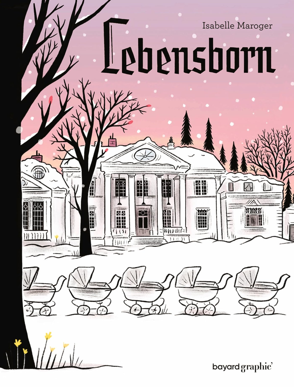 Lebensborn 9782227500822