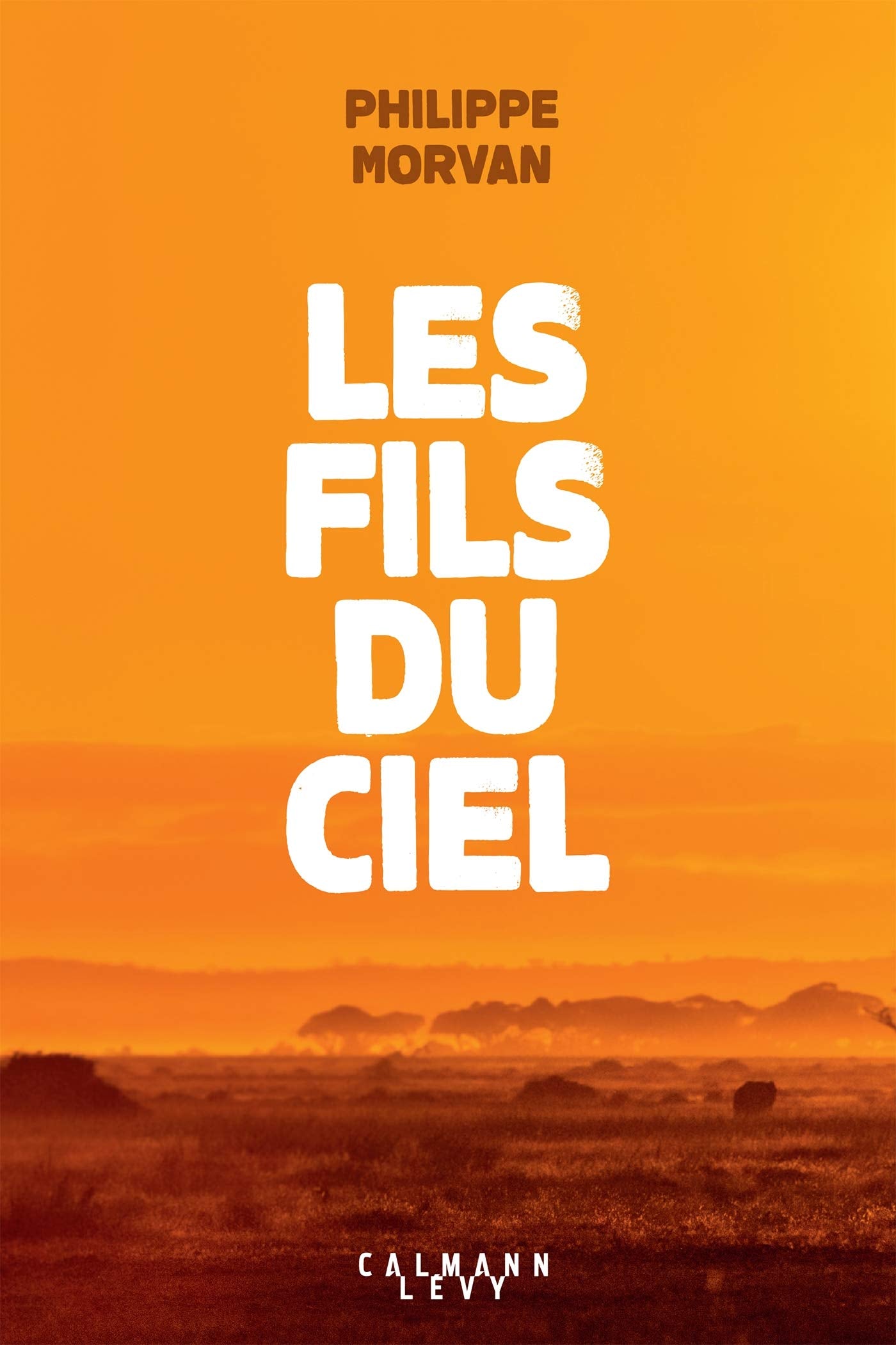 Les fils du ciel 9782702167427