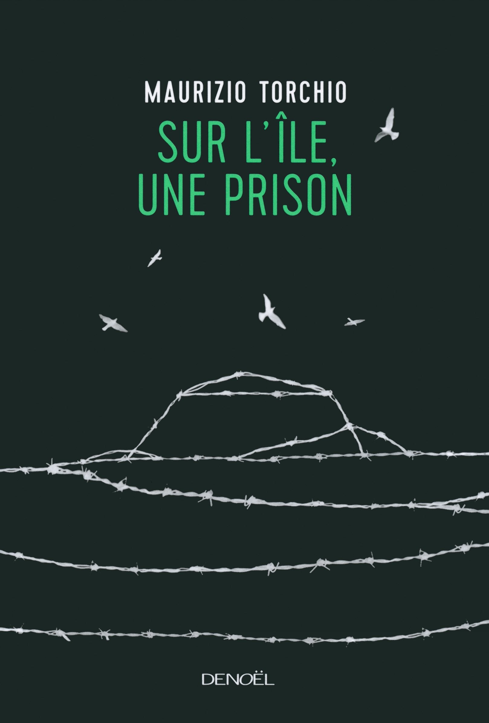 Sur l'île, une prison 9782207132333