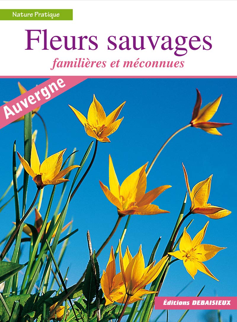 Fleurs sauvages familières et méconnues 9782913381056