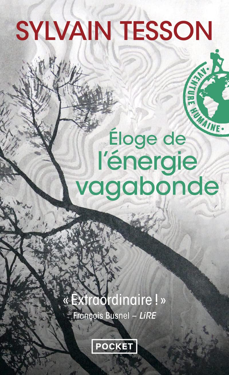 Eloge de l'énergie vagabonde 9782266178747