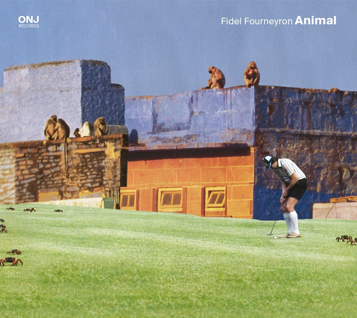 Animal 3521383447048