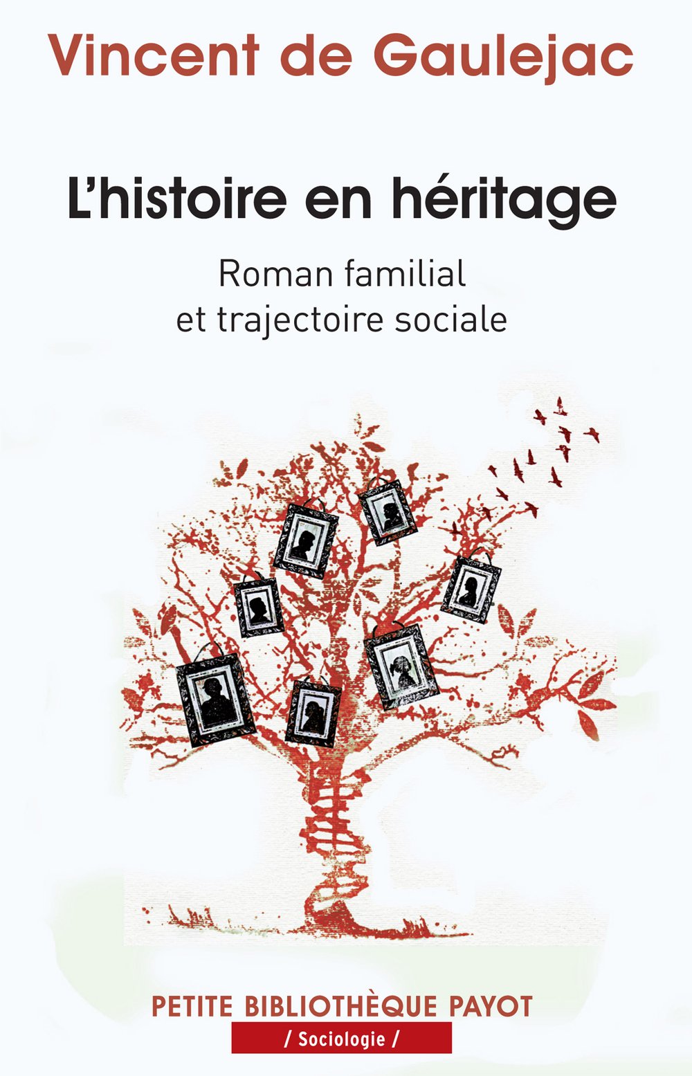 L'Histoire en héritage: Roman familial et trajectoire sociale 9782228908214