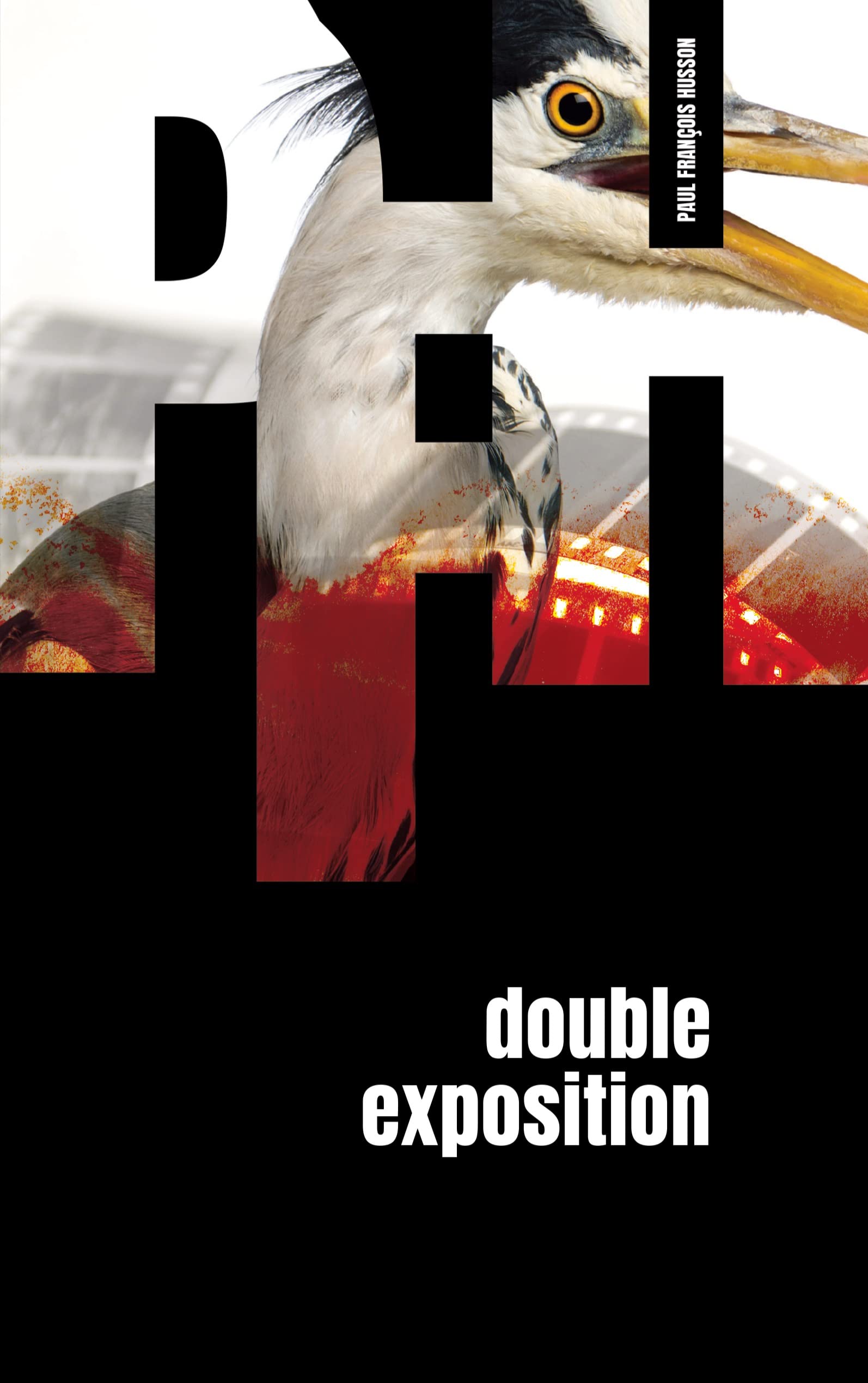 DOUBLE EXPOSITION: Polar lyonnais 9782322412648