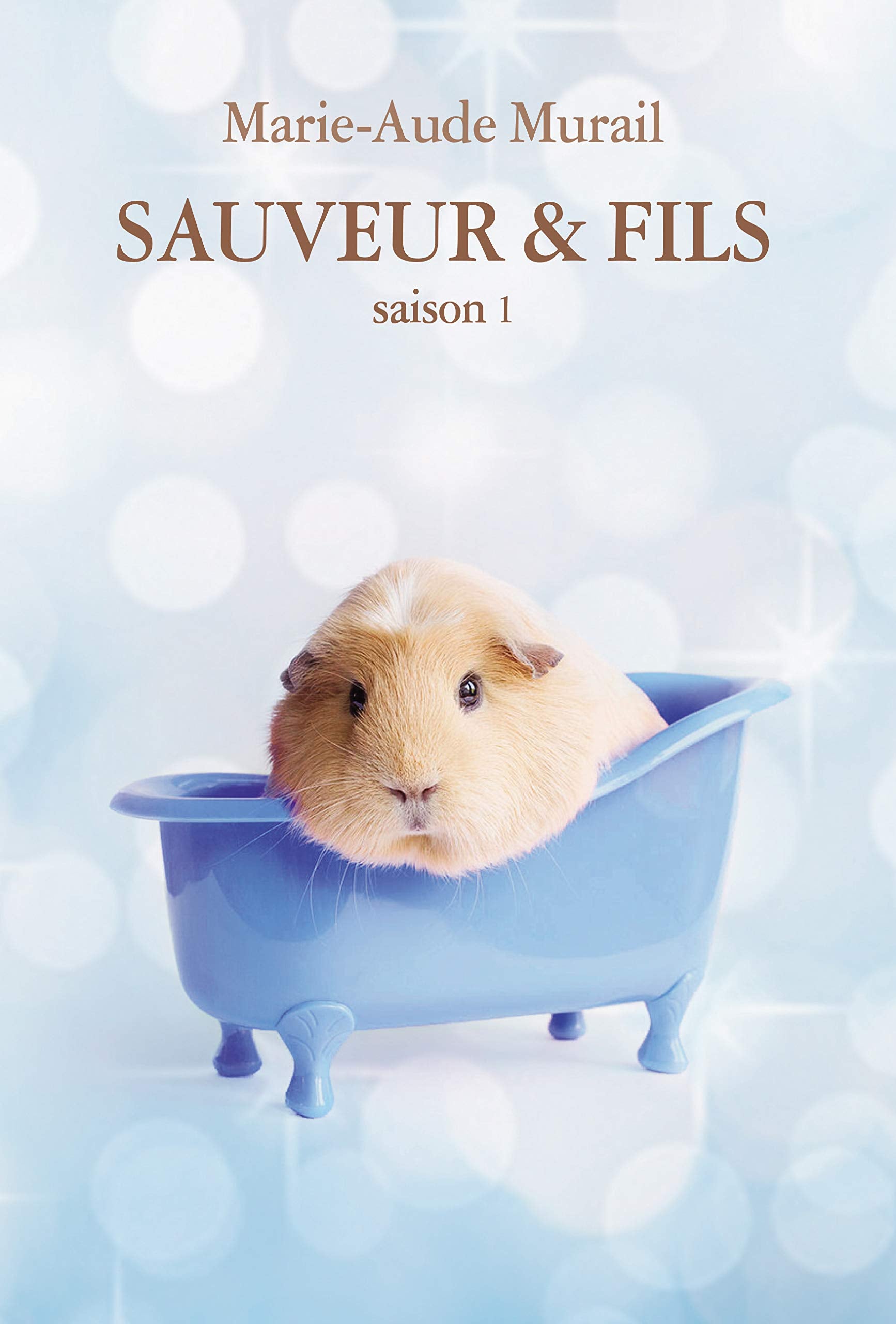 SAUVEUR & FILS SAISON 1 GRAND FORMAT 9782211228336
