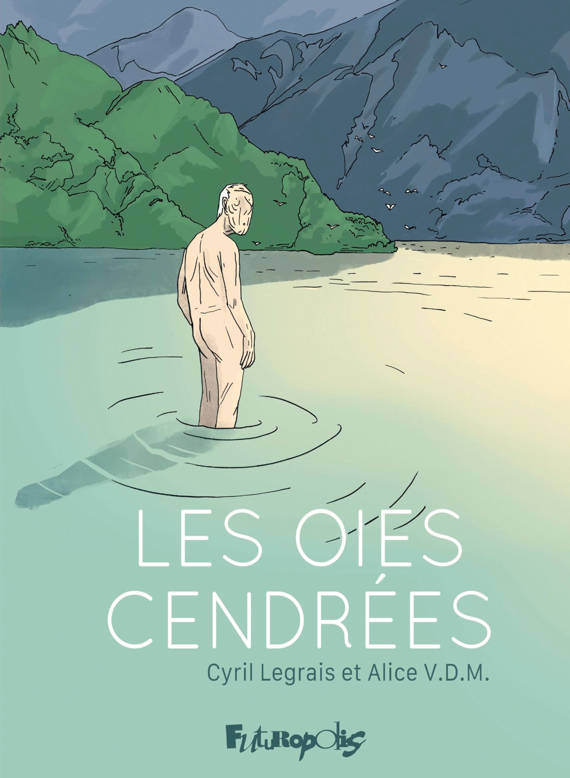 Les oies cendrées 9782754841818