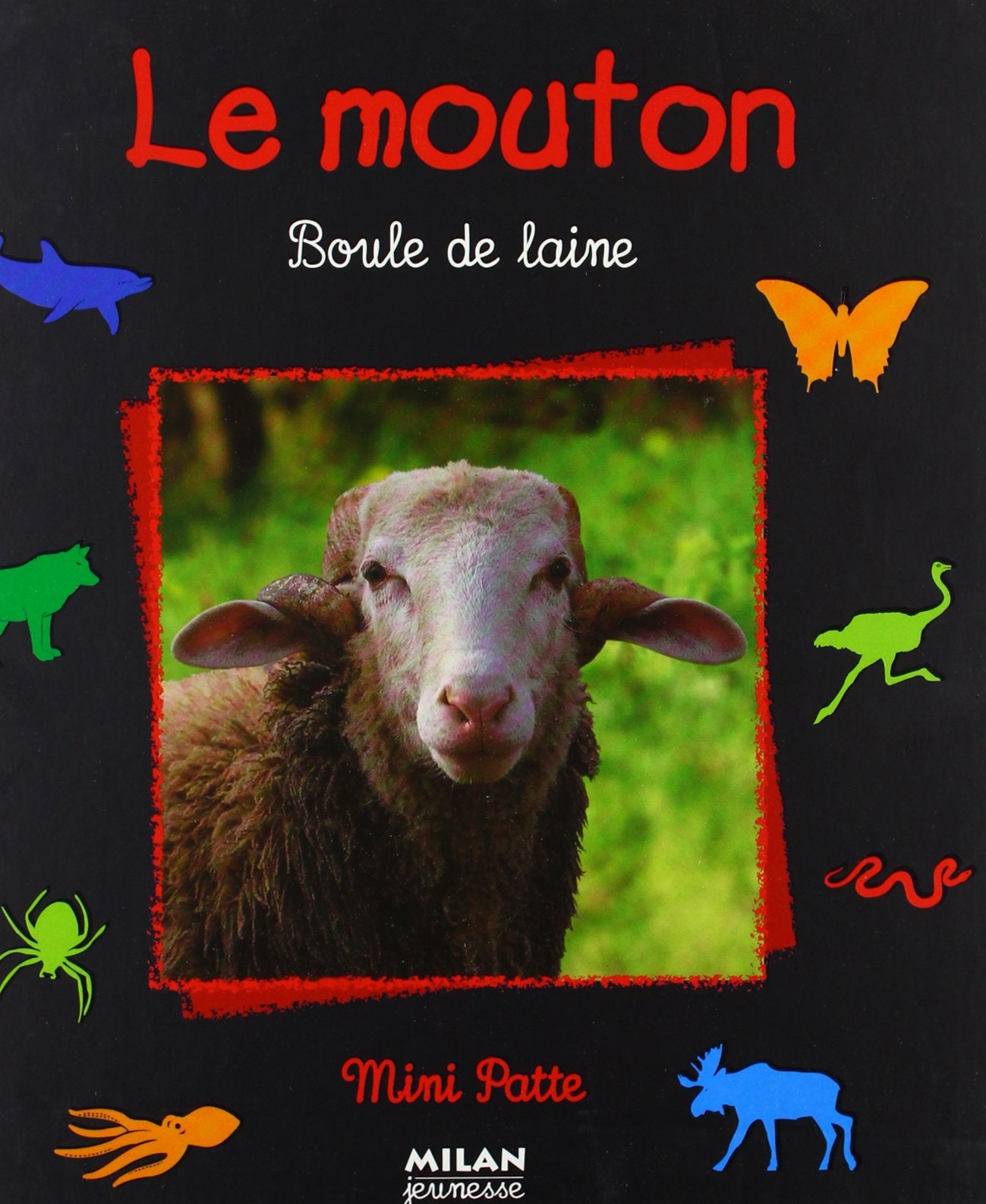 Le Mouton : Boule de laine 9782745906557