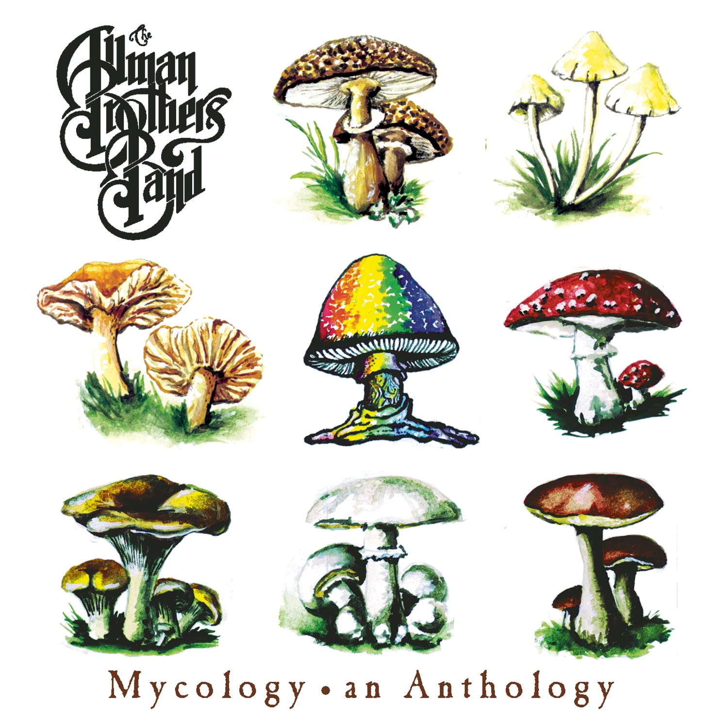 Mycology-an Anthology 0074646868225