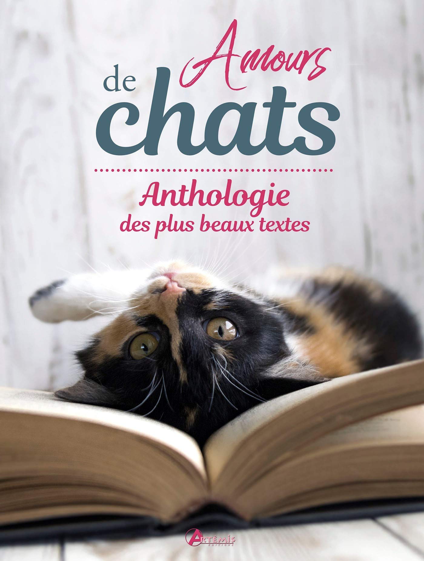 Amours de chats, anthologie des plus beaux textes 9782816012194