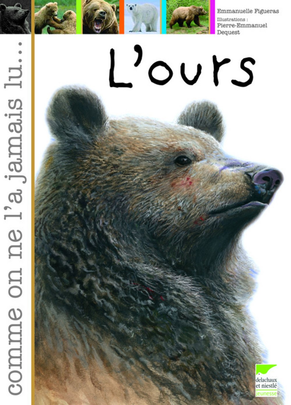 L'ours 9782603014257