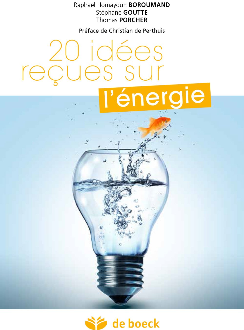 20 idées reçues sur l'énergie 9782804190200