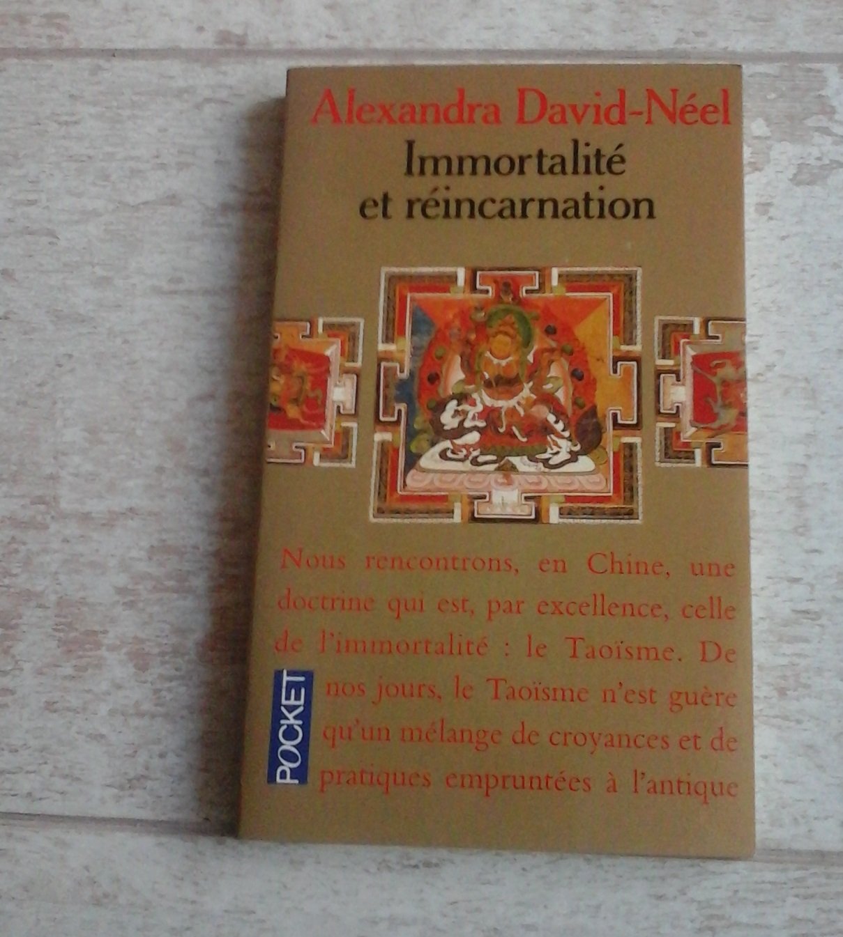 Immortalité et réincarnation: Doctrines et pratiques, Chine, Tibet, Inde 9782266056366