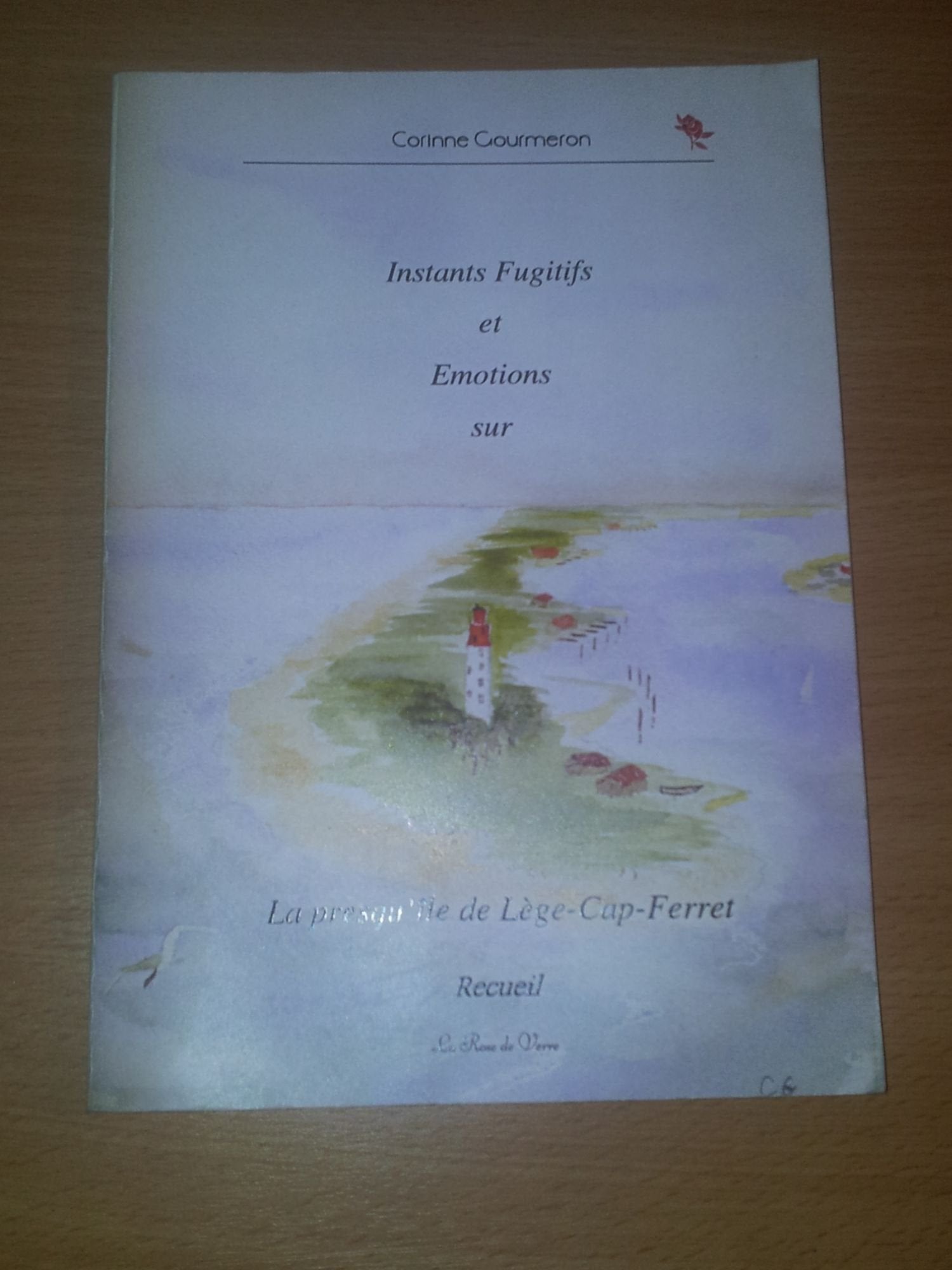 Instants fugitifs et émotions 9782914899451